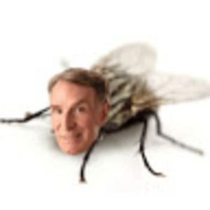 Meet your Posher, Josephine